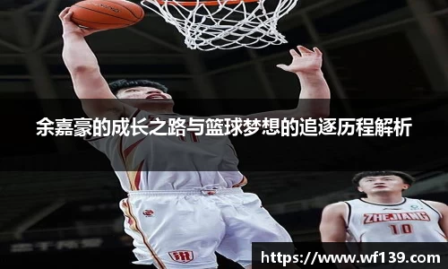 智博19
