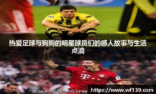 智博19